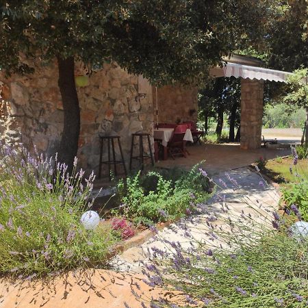 Holiday Home Sea La Vie Rovinj Exterior foto