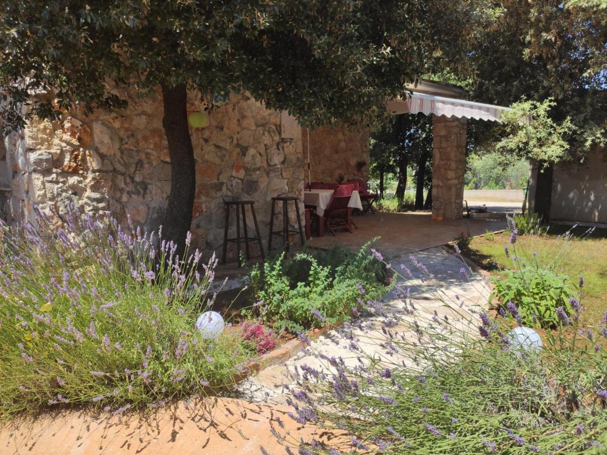 Holiday Home Sea La Vie Rovinj Exterior foto