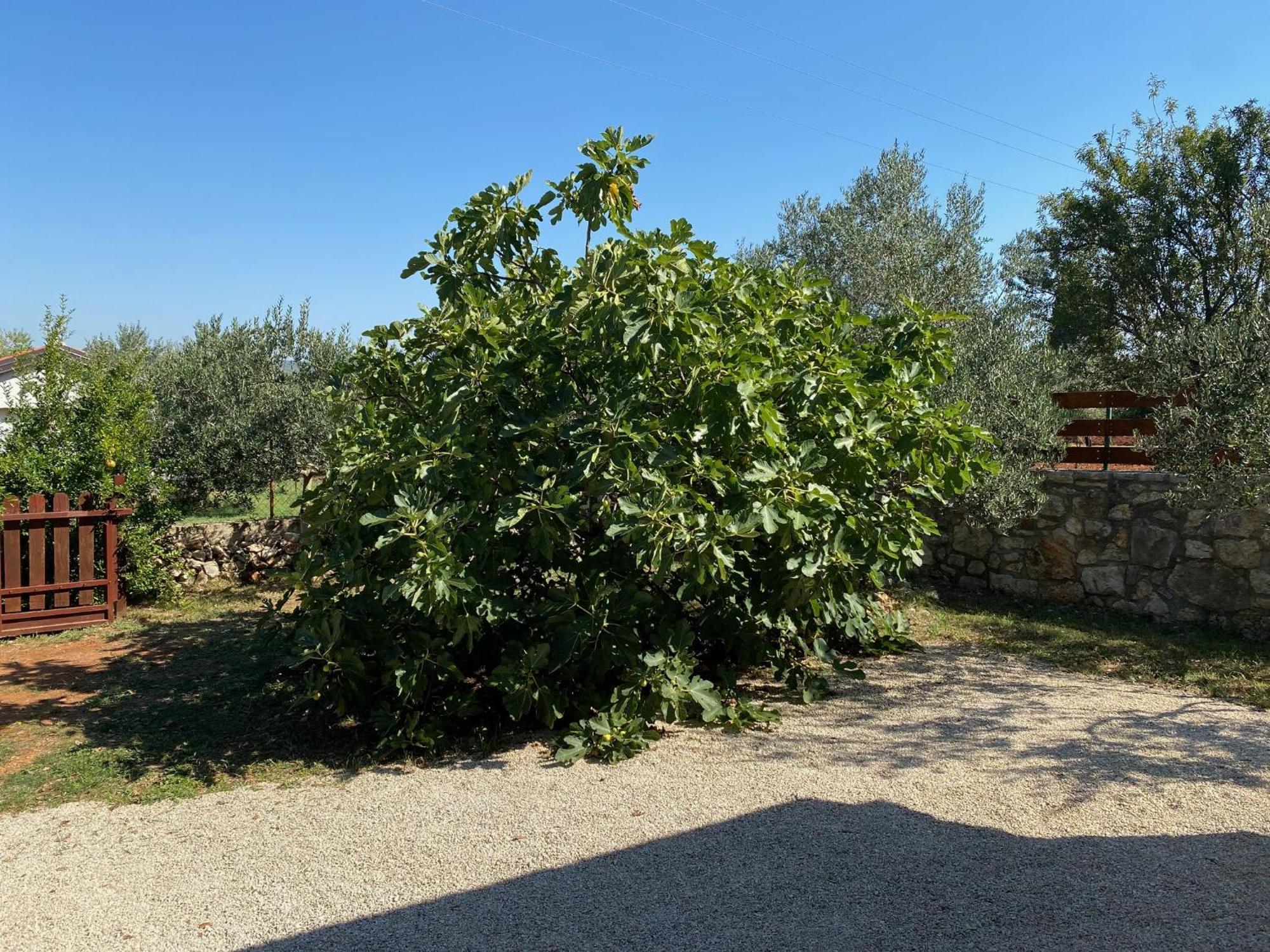 Holiday Home Sea La Vie Rovinj Exterior foto